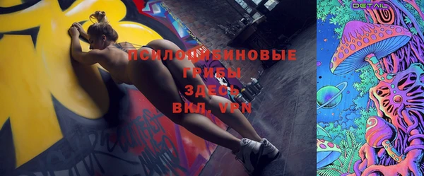 дмт Аркадак