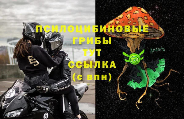 PSILOCYBIN Арсеньев